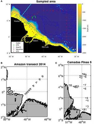 Net Heterotrophy in the Amazon Continental Shelf Changes Rapidly to a Sink of CO2 in the Outer Amazon Plume